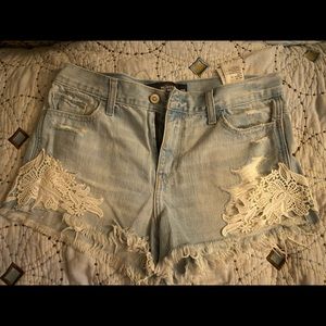 NWOT Hollister distressed jean shorts